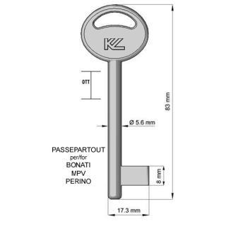CHIAVE PASSEPARTOUT PAT1S OTTONE LUCIDO