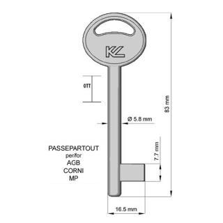 CHIAVE PASSEPARTOUT PAT2S OTTONE LUCIDO